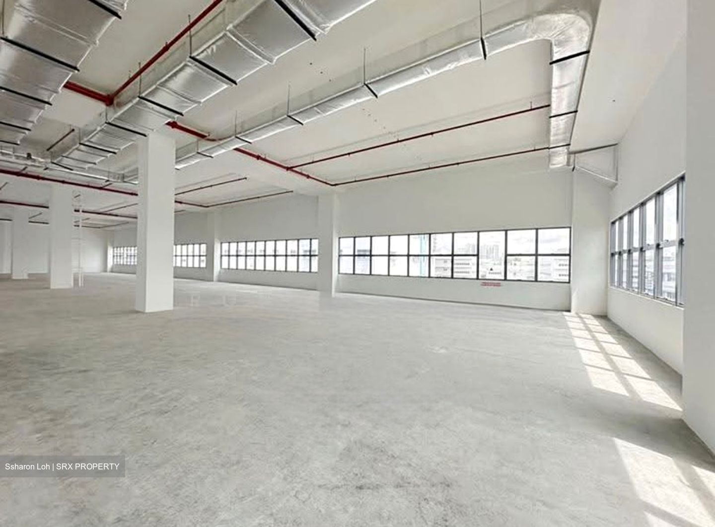 Bendemeer Road (D12), Warehouse #628393271